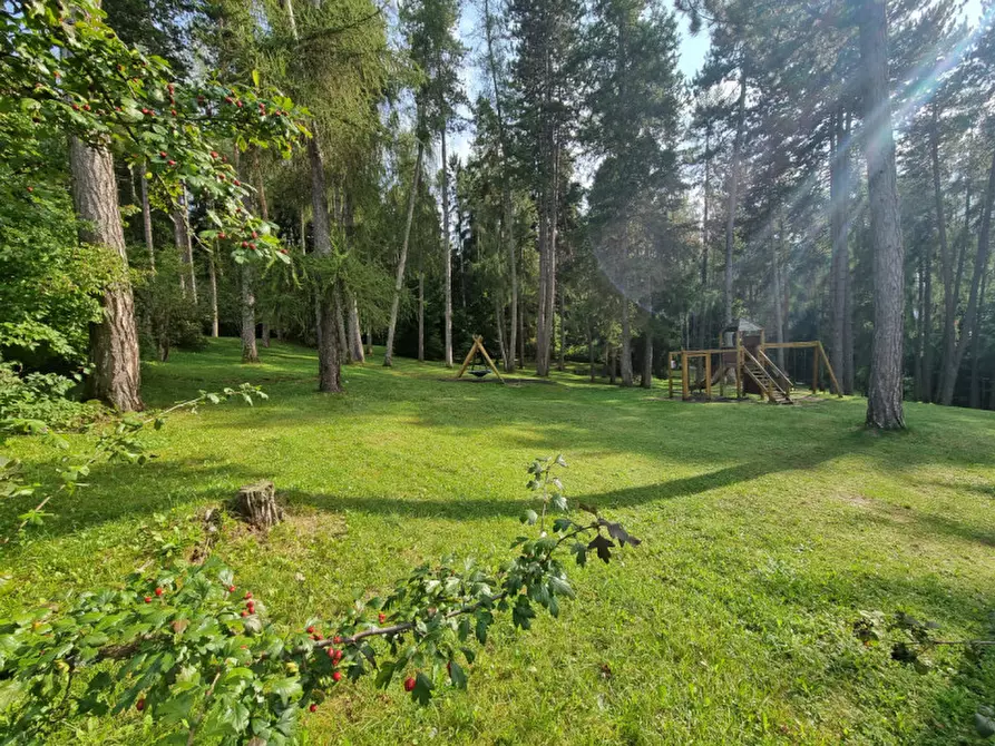 Immagine 4 di Attività commerciale in vendita  a Cavareno