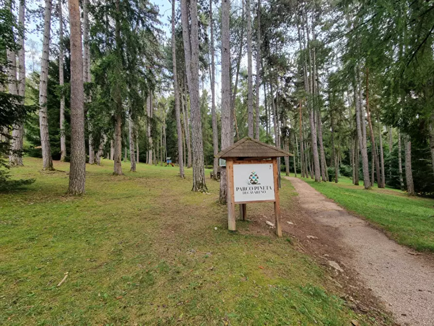 Immagine 10 di Attività commerciale in vendita  a Cavareno