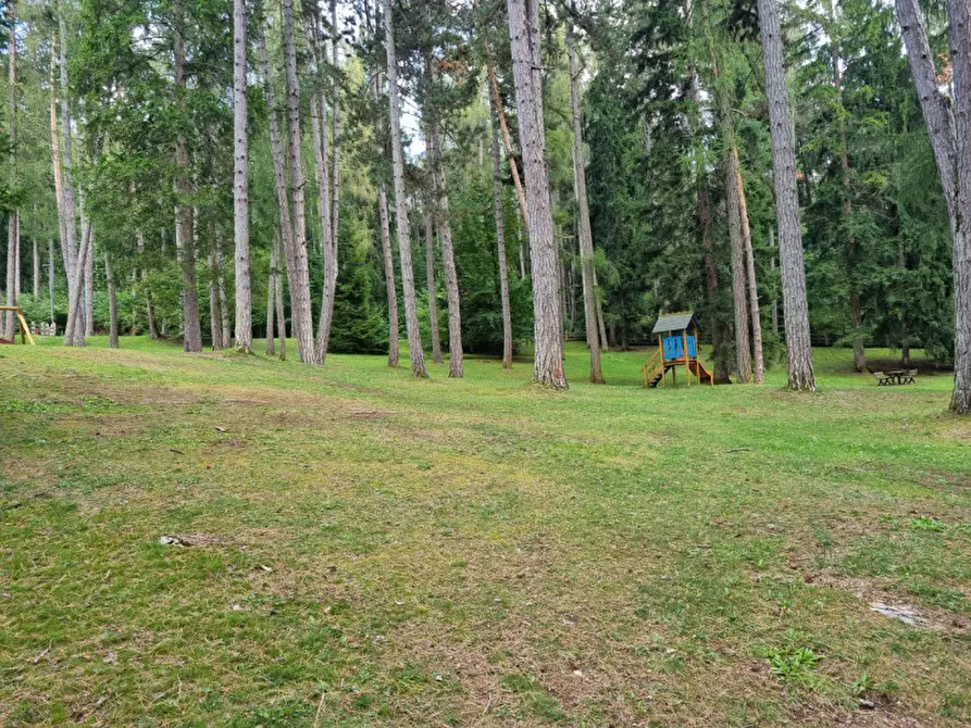 Immagine 11 di Attività commerciale in vendita  a Cavareno