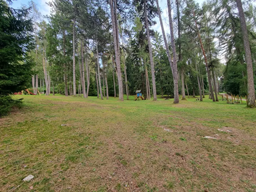 Immagine 12 di Attività commerciale in vendita  a Cavareno