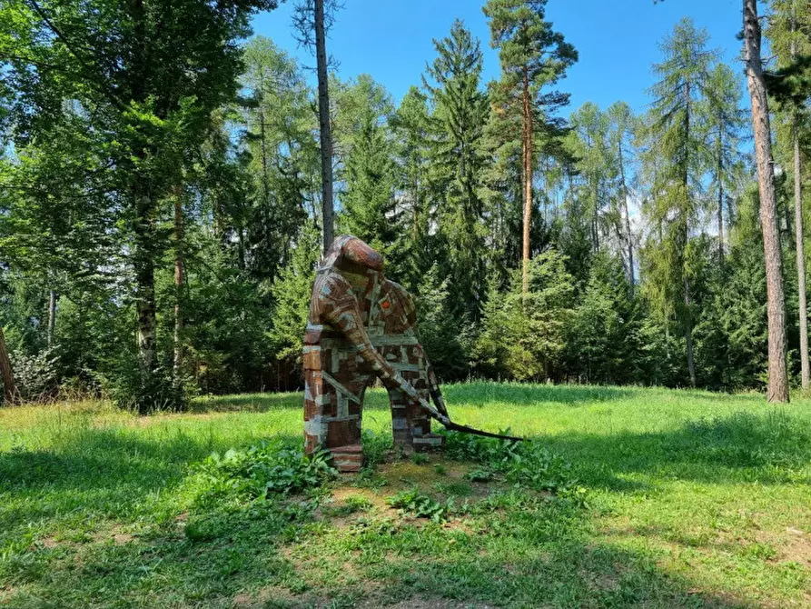 Immagine 22 di Attività commerciale in vendita  a Cavareno