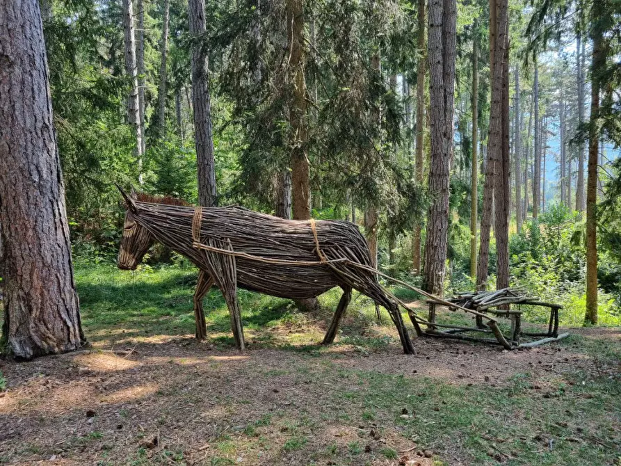 Immagine 24 di Attività commerciale in vendita  a Cavareno