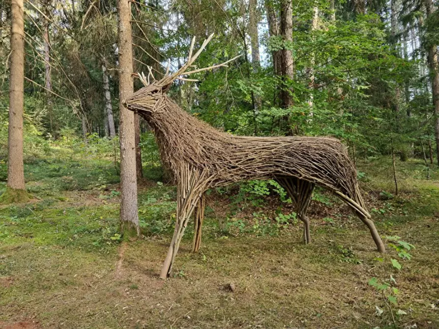 Immagine 25 di Attività commerciale in vendita  a Cavareno