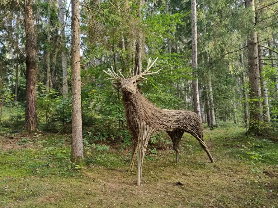 Immagine 26 di Attività commerciale in vendita  a Cavareno