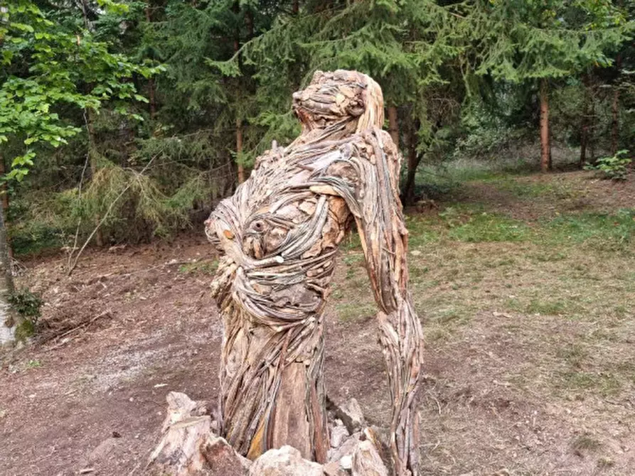 Immagine 27 di Attività commerciale in vendita  a Cavareno