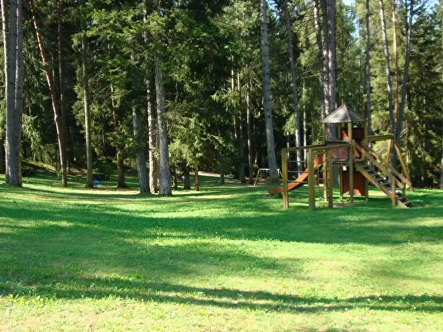 Immagine 30 di Attività commerciale in vendita  a Cavareno