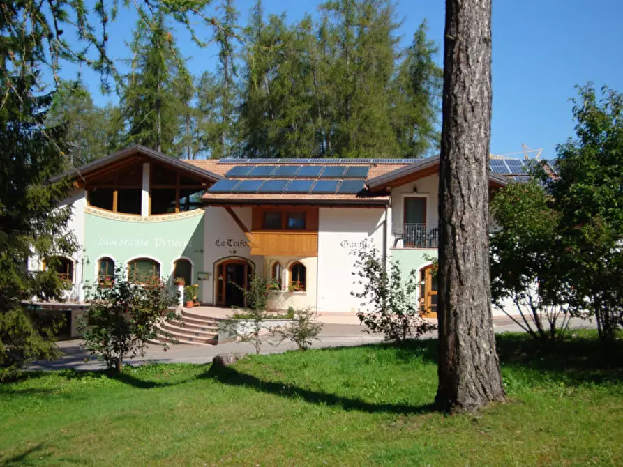 Immagine 36 di Attività commerciale in vendita  a Cavareno