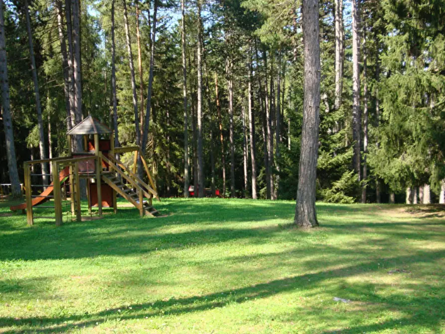 Immagine 38 di Attività commerciale in vendita  a Cavareno