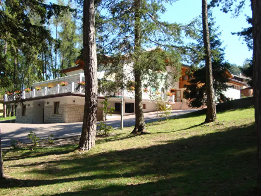 Immagine 39 di Attività commerciale in vendita  a Cavareno