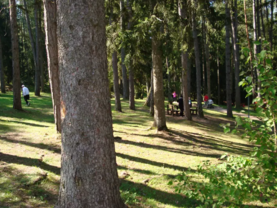 Immagine 43 di Attività commerciale in vendita  a Cavareno