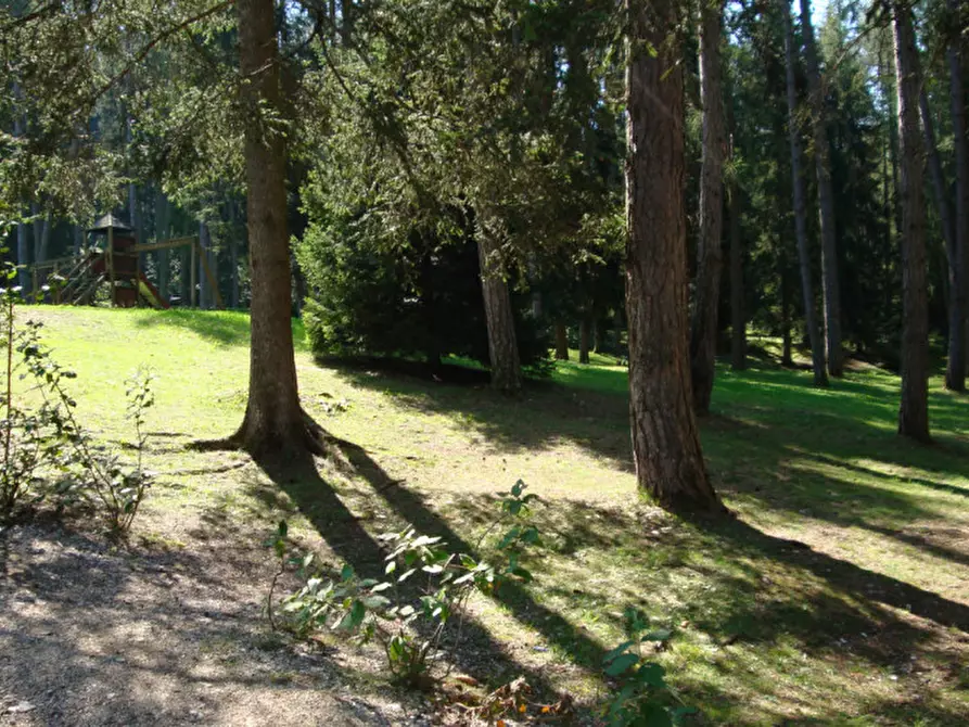 Immagine 44 di Attività commerciale in vendita  a Cavareno