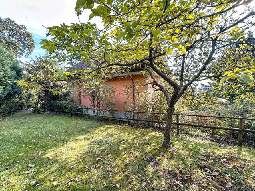 Immagine 34 di Villa in vendita  in contrada rodego, 16 a Trarego Viggiona