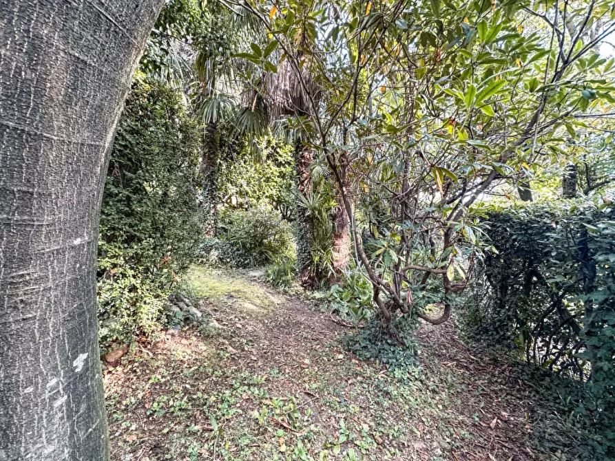 Immagine 37 di Villa in vendita  in contrada rodego, 16 a Trarego Viggiona