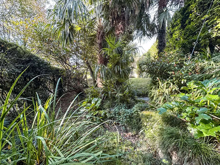 Immagine 41 di Villa in vendita  in contrada rodego, 16 a Trarego Viggiona