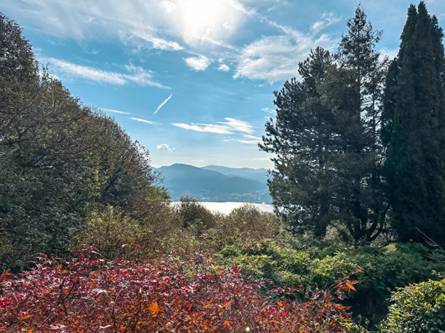 Immagine 47 di Villa in vendita  in contrada rodego, 16 a Trarego Viggiona