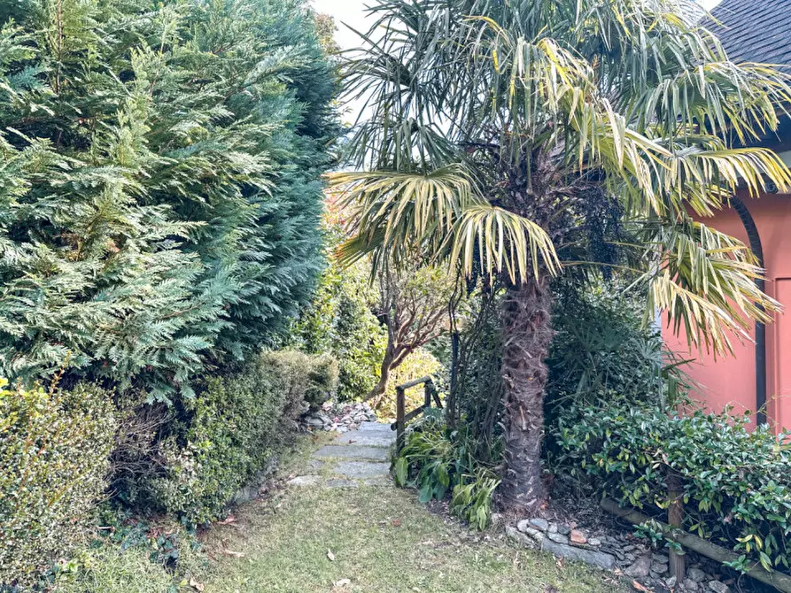 Immagine 52 di Villa in vendita  in contrada rodego, 16 a Trarego Viggiona