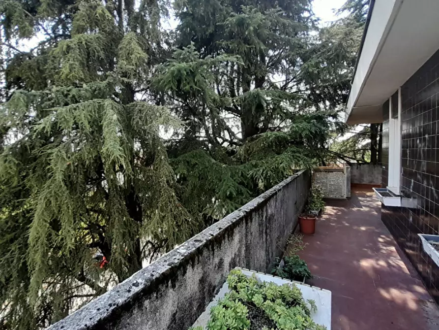 Immagine 4 di Appartamento in vendita  in Via Fabio Filzi a Udine