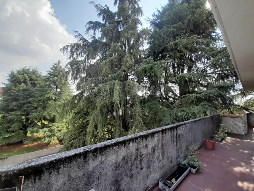 Immagine 5 di Appartamento in vendita  in Via Fabio Filzi a Udine