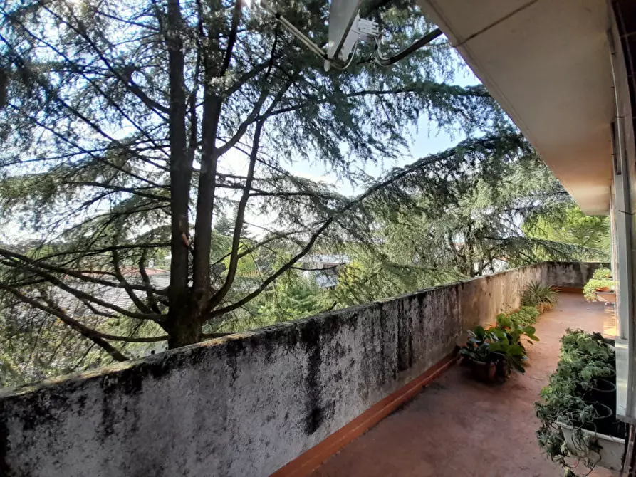 Immagine 6 di Appartamento in vendita  in Via Fabio Filzi a Udine