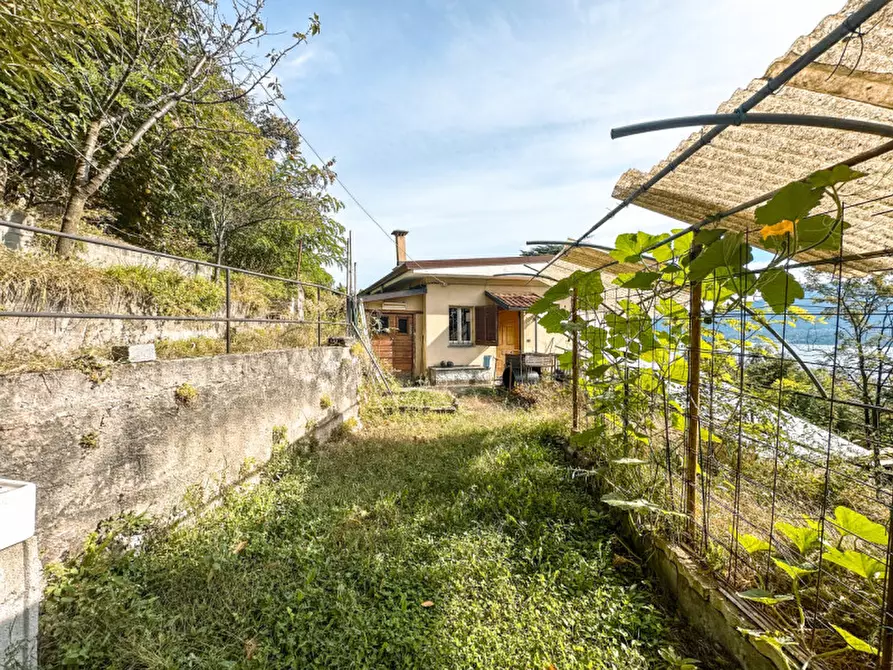 Immagine 29 di Casa indipendente in vendita  in corso risorgimento 395 a Ghiffa