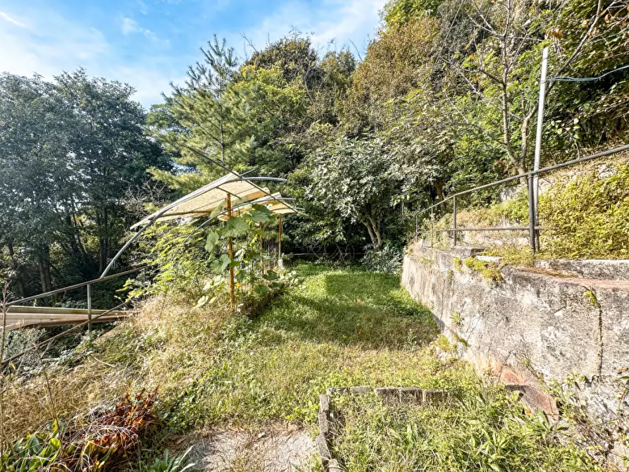 Immagine 31 di Casa indipendente in vendita  in corso risorgimento 395 a Ghiffa