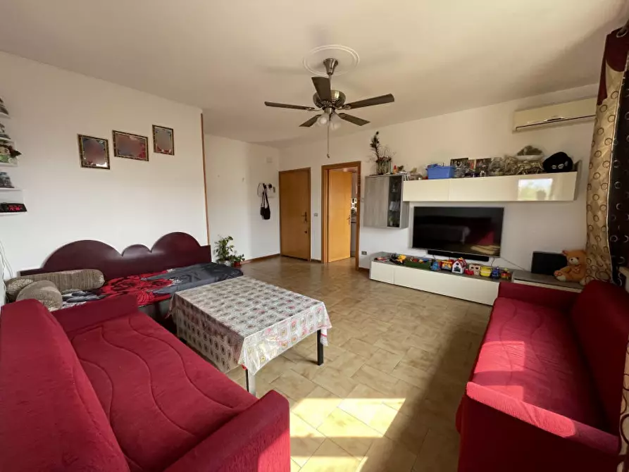 Immagine 8 di Appartamento in vendita  a Suzzara