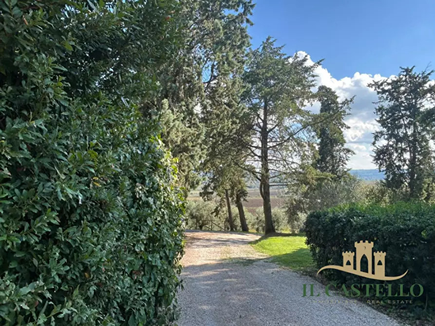 Immagine 16 di Rustico / casale in vendita  in cantagallina a Castiglione Del Lago