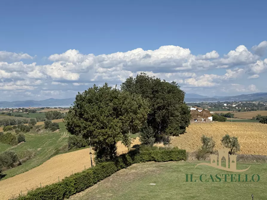 Immagine 22 di Rustico / casale in vendita  in cantagallina a Castiglione Del Lago