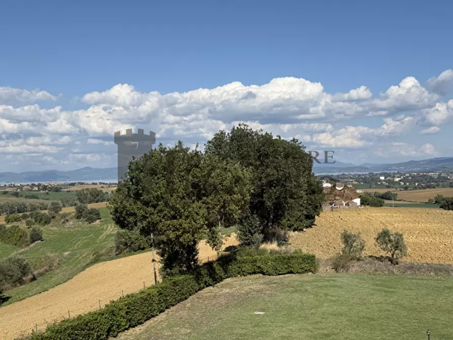 Immagine 25 di Rustico / casale in vendita  in cantagallina a Castiglione Del Lago