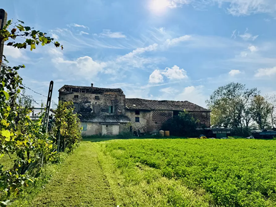 Immagine 1 di Rustico / casale in vendita  in Strada Viazza di Paradigna a Parma