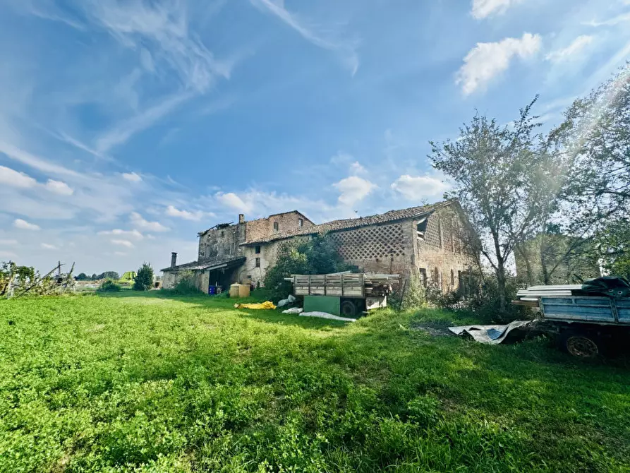 Immagine 9 di Rustico / casale in vendita  in Strada Viazza di Paradigna a Parma
