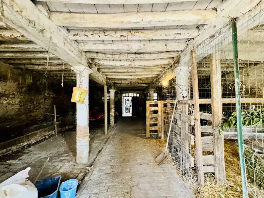 Immagine 32 di Rustico / casale in vendita  in Strada Viazza di Paradigna a Parma