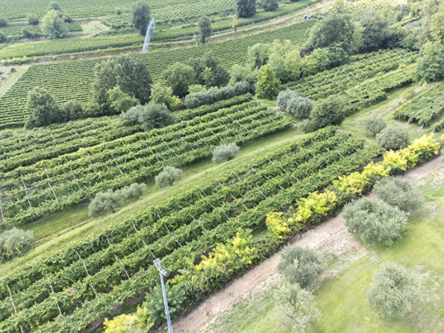 Immagine 3 di Villa in vendita  a Castelnuovo Del Garda