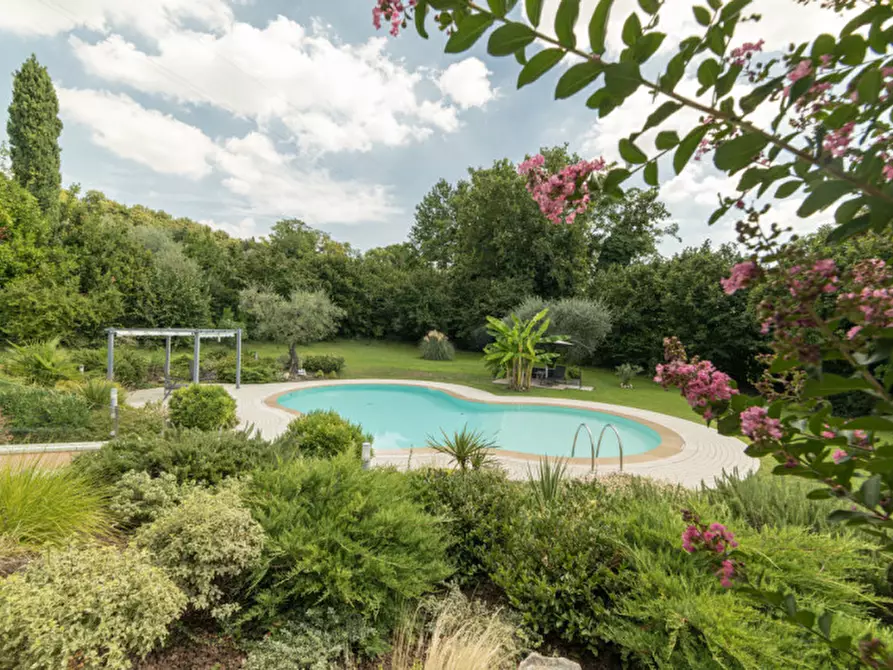 Immagine 6 di Villa in vendita  a Castelnuovo Del Garda