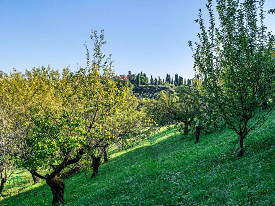 Immagine 41 di Casa indipendente in vendita  in Ad.ze via Giardino a Pianoro
