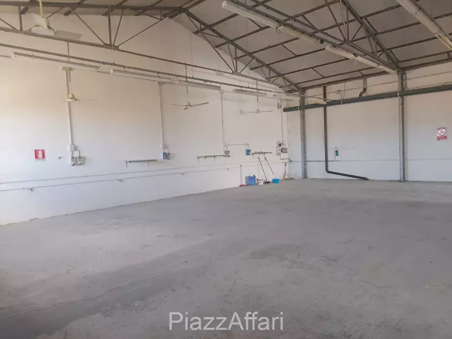 Immagine 3 di Capannone industriale in affitto  a Piove Di Sacco