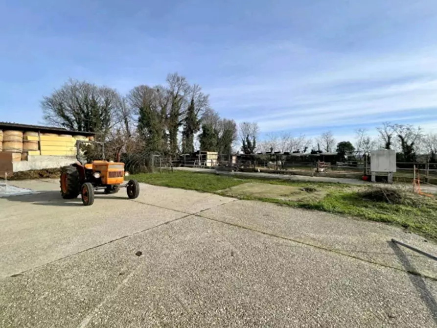 Immagine 26 di Rustico / casale in vendita  in via dei colli a Cavriana