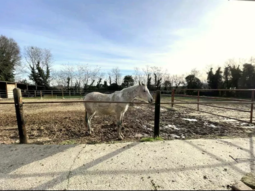 Immagine 31 di Rustico / casale in vendita  in via dei colli a Cavriana