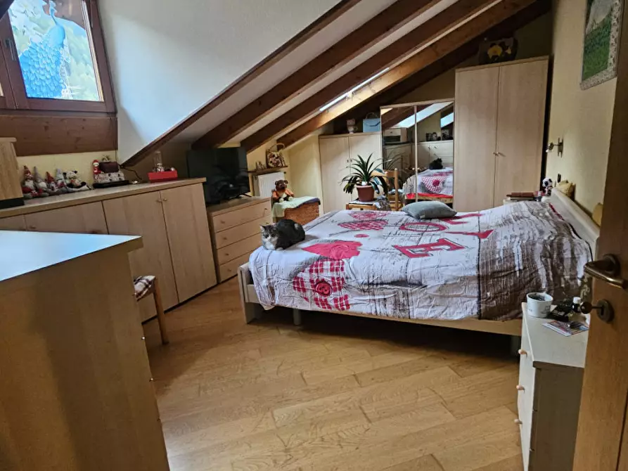 Immagine 9 di Appartamento in vendita  in Via dei Gallina,N.23 a Pellizzano