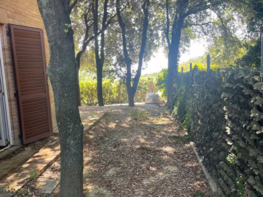 Immagine 4 di Villa in vendita  in Via Luigi Selandari a Ancona