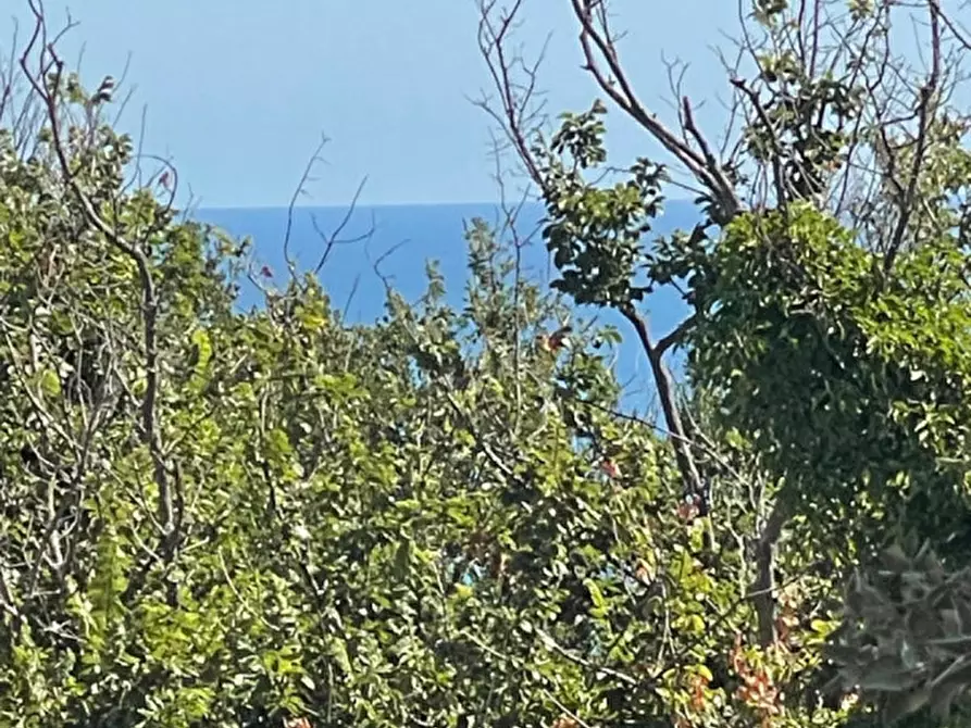 Immagine 29 di Villa in vendita  in Via Luigi Selandari a Ancona