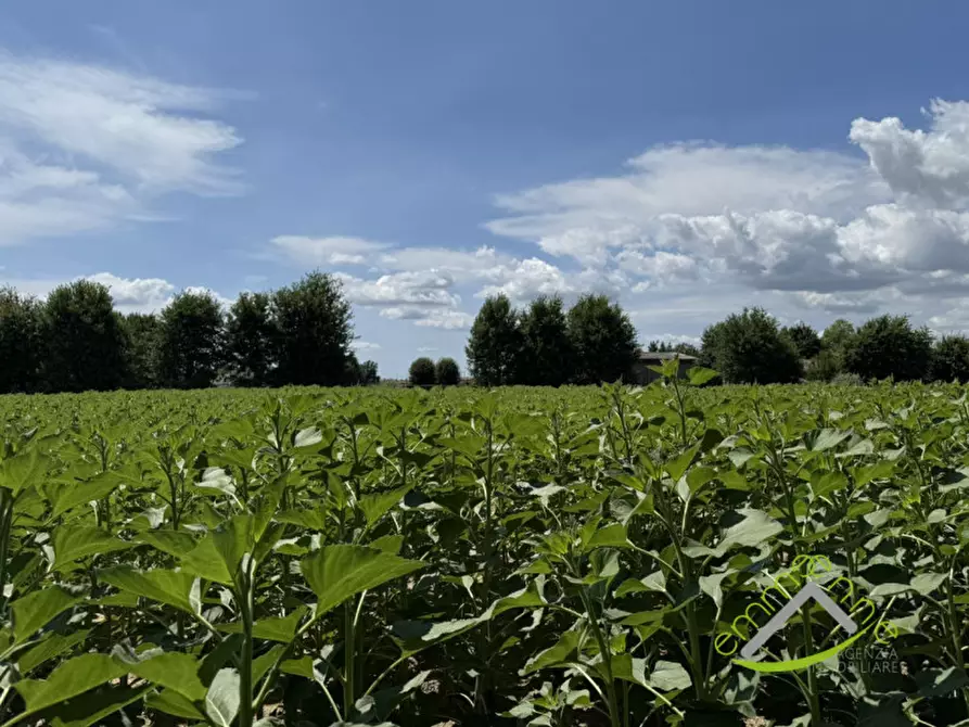 Immagine 4 di Casa indipendente in vendita  in Via Marco Polo a Dolo