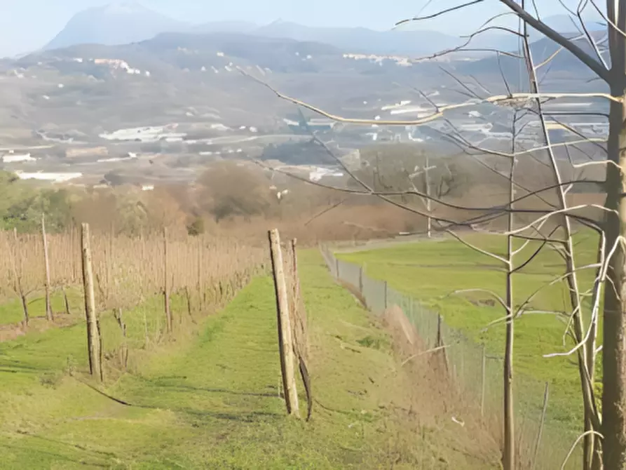 Immagine 14 di Attività commerciale in vendita  in Via Sant'Aniello a Montefredane