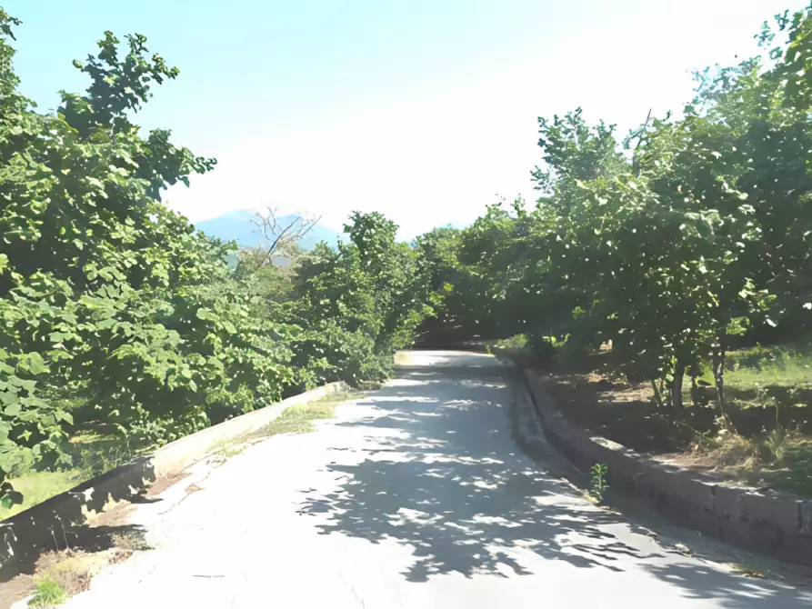 Immagine 16 di Attività commerciale in vendita  in Via Sant'Aniello a Montefredane