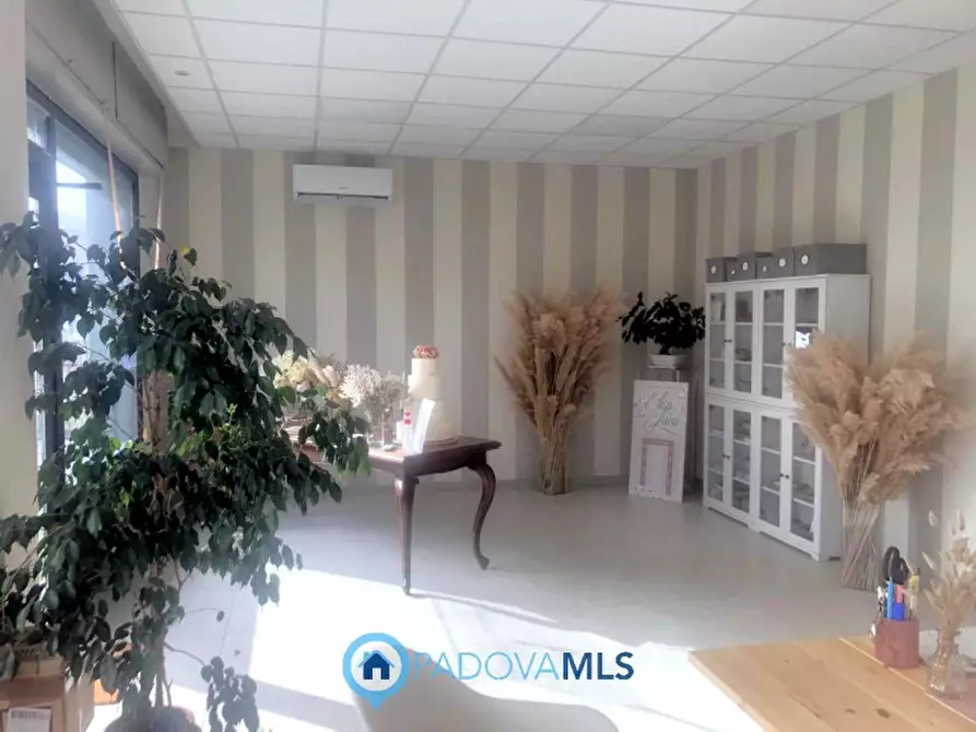 Immagine 2 di Negozio in vendita  in Via Pontevigodarzere, 116 a Padova