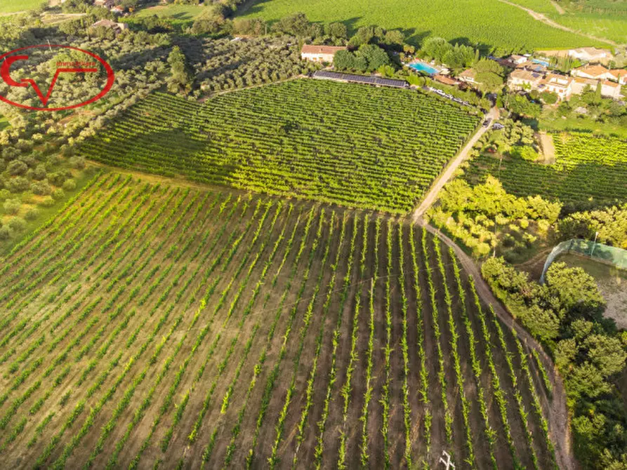 Immagine 9 di Agriturismo in vendita  in tontenano a Bucine