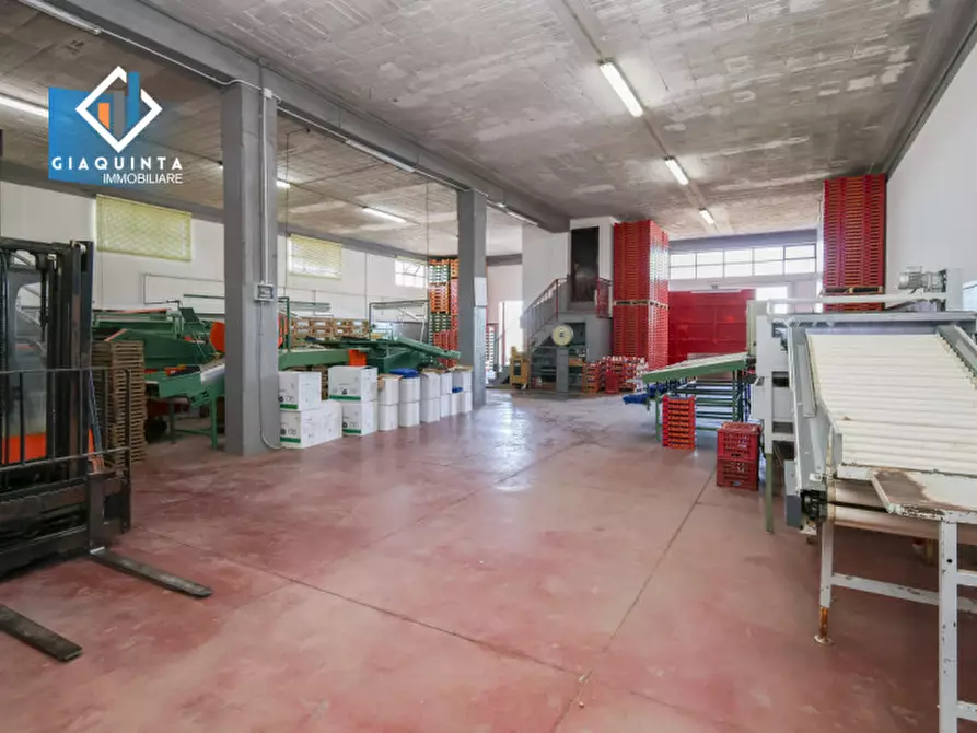 Immagine 3 di Capannone industriale in vendita  in Viale Resistenza Partigiana a Palagonia