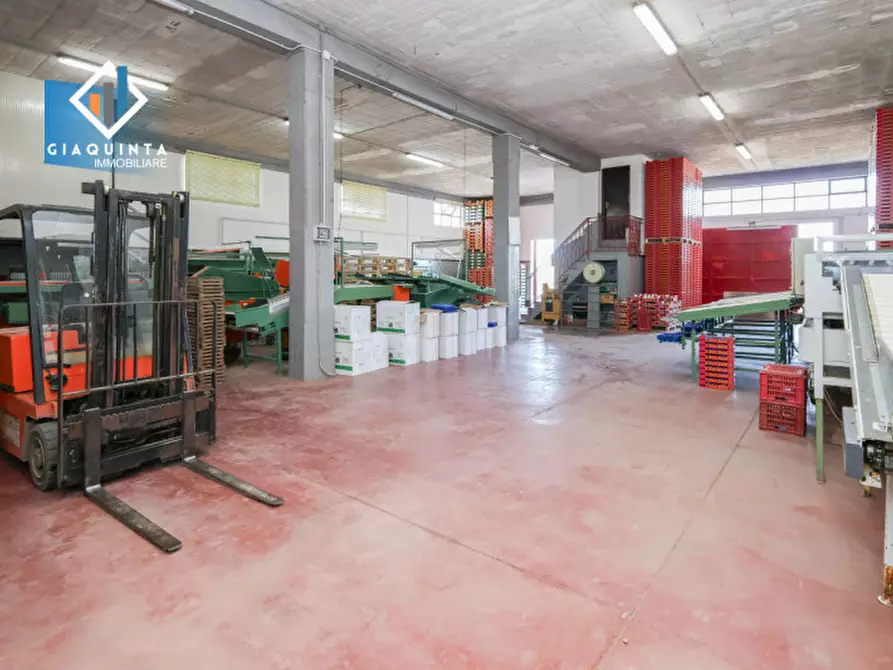 Immagine 4 di Capannone industriale in vendita  in Viale Resistenza Partigiana a Palagonia