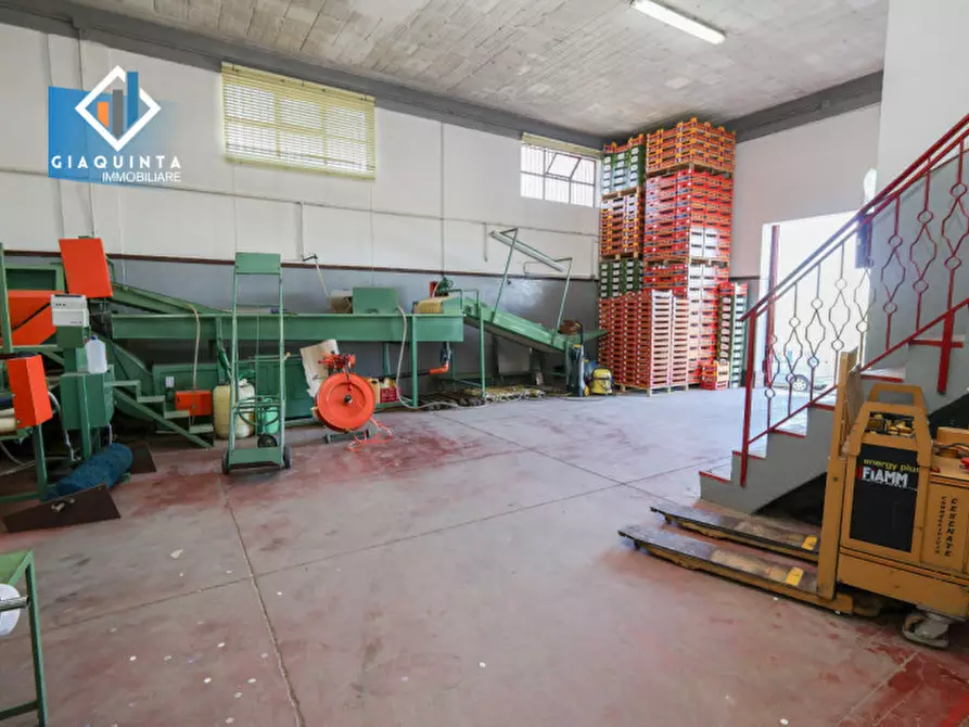 Immagine 6 di Capannone industriale in vendita  in Viale Resistenza Partigiana a Palagonia