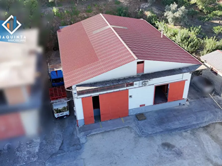 Immagine 7 di Capannone industriale in vendita  in Viale Resistenza Partigiana a Palagonia